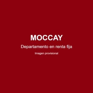 Imagen provisional – departamento en renta fija